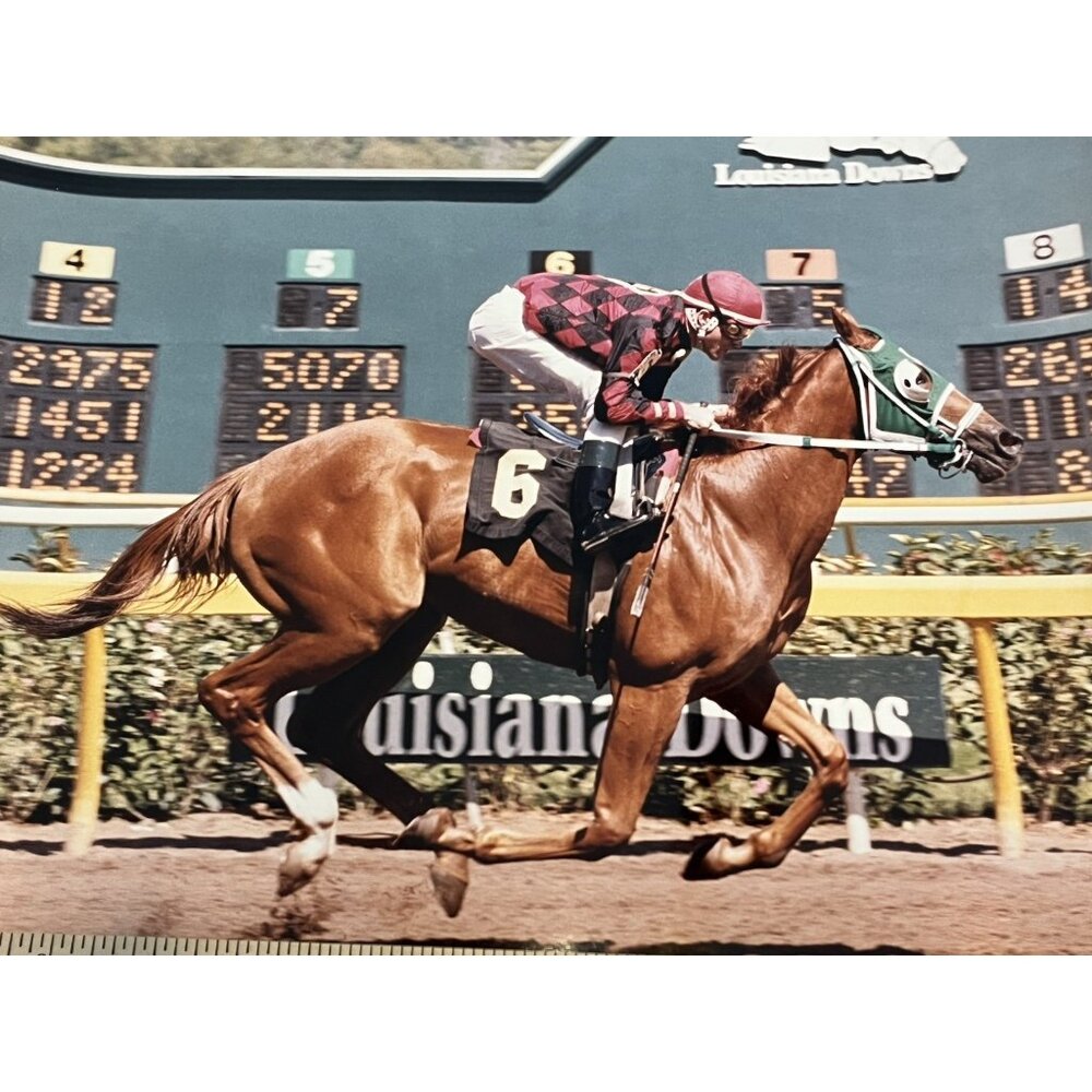 Photo Louisiana Downs Horse Racing Racetrack 1997 Jockey #6 Advertisement Rowell